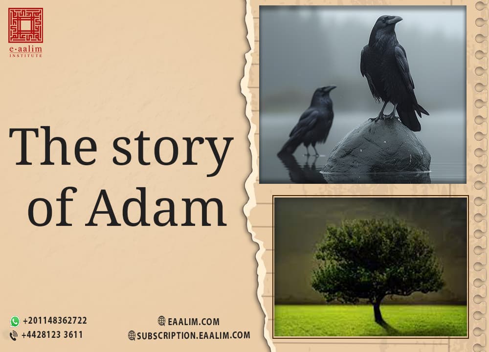The story of adam
